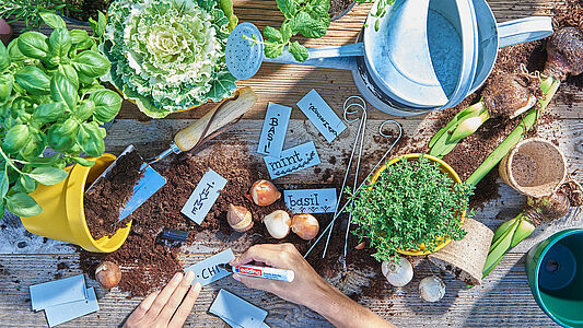 Get ready for spring!