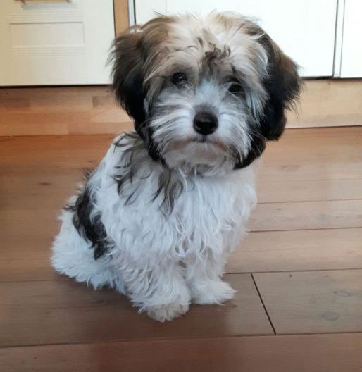 Upload your photo (max. 10 MB)