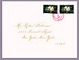 envelope sample-rook